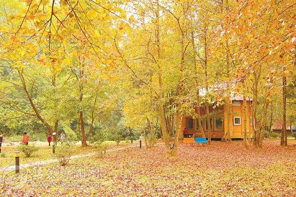 2020旅行清单你准备好了吗,2020年的最后一次旅行完美收官