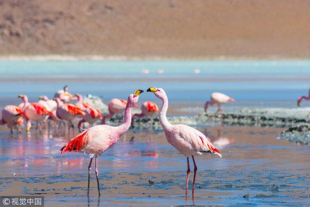 2020旅行清单你准备好了吗,2020年的最后一次旅行完美收官