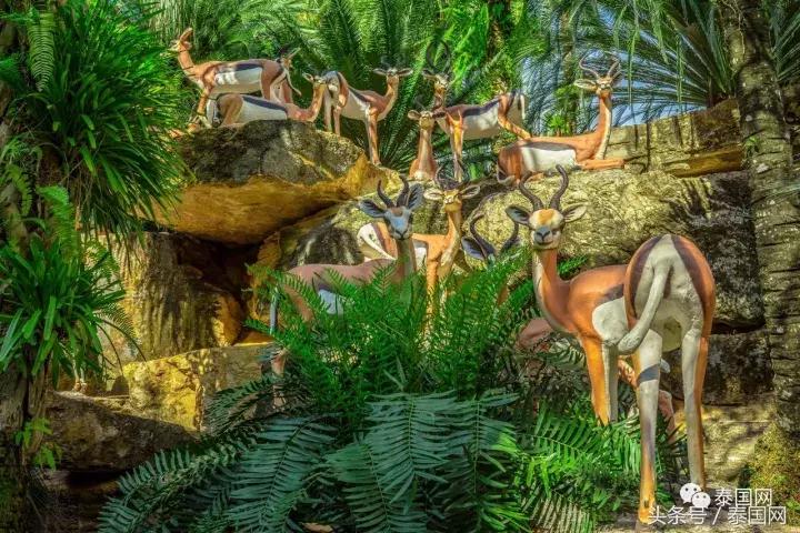 芭提雅东芭乐园和大象村的区别,芭提雅东芭乐园免费路线