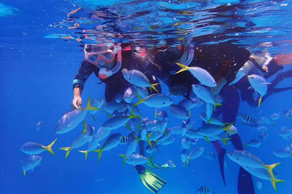 帕劳带小孩旅游攻略,帕劳带小朋友旅游攻略