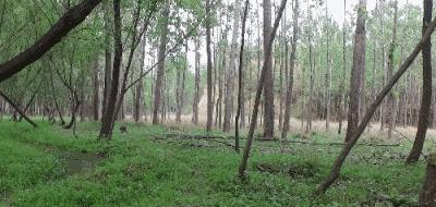 什么？在洞穴赏樱看雪学手艺？看她怎么把废弃洞穴改成浪漫居所