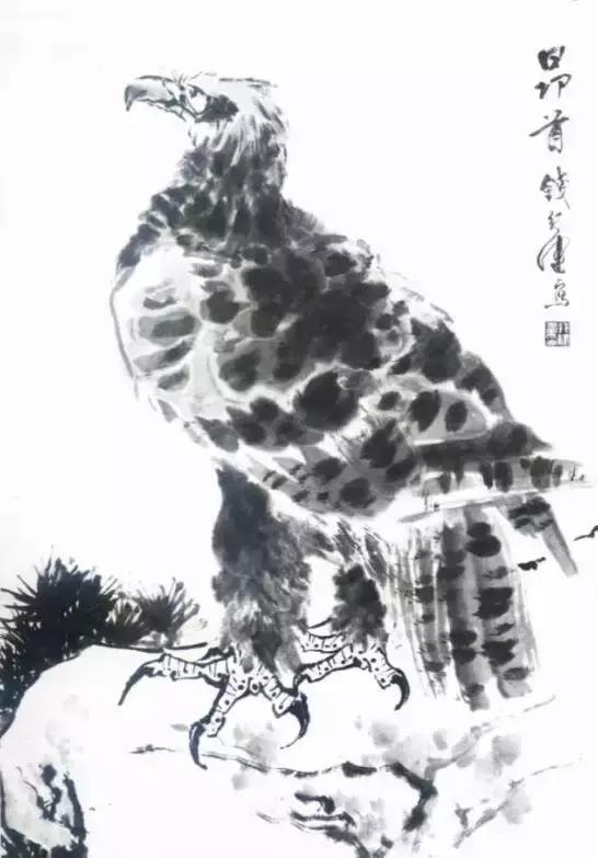 国画写实鹰怎么画,国画画鹰的技法