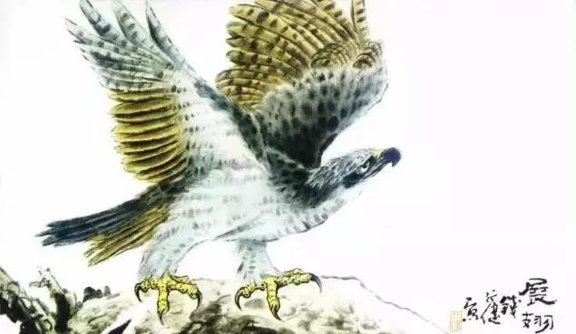 国画写实鹰怎么画,国画画鹰的技法