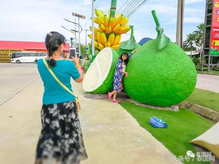 芭提雅东芭乐园和大象村的区别,芭提雅东芭乐园免费路线