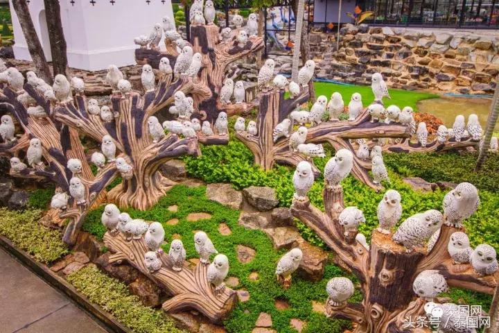 芭提雅东芭乐园和大象村的区别,芭提雅东芭乐园免费路线