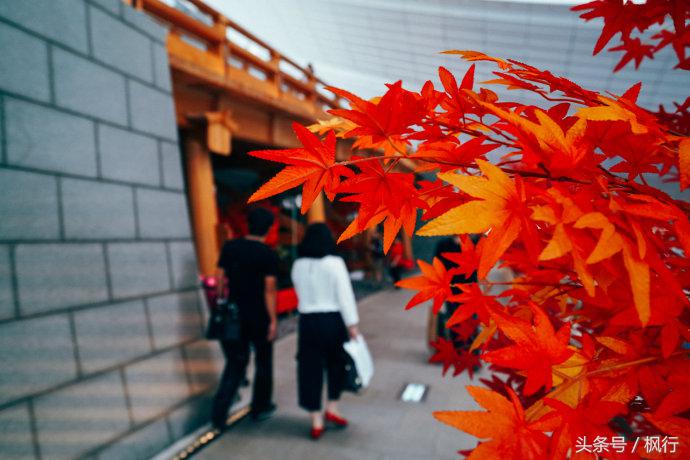 日本购物必买清单价格表,日本购物必买东西清单一览表