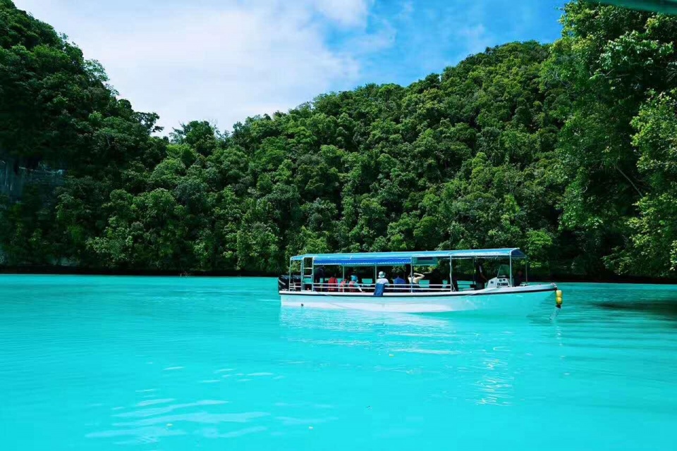 帕劳带小孩旅游攻略,帕劳带小朋友旅游攻略