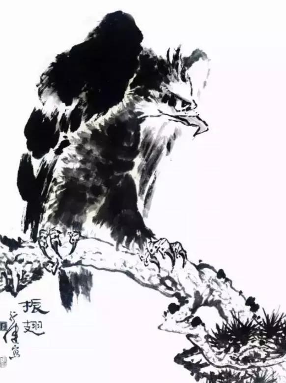 国画写实鹰怎么画,国画画鹰的技法