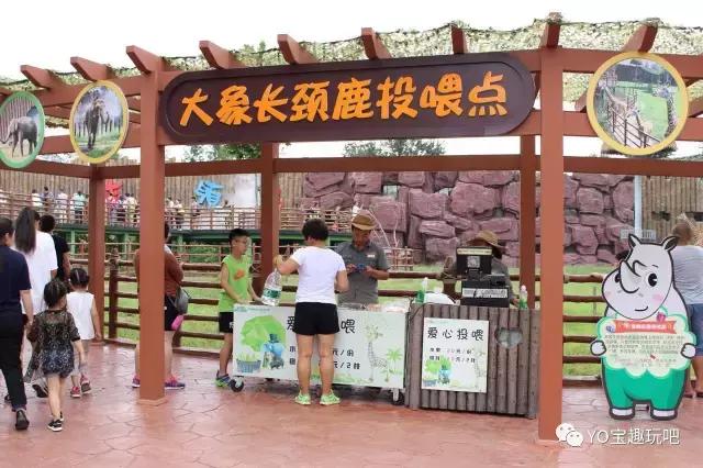 济南野生动物世界一日游自驾,济南野生动物世界一日游攻略