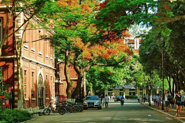 厦门旅游攻略自驾游最佳路线,厦门旅游十大必去景点景区攻略