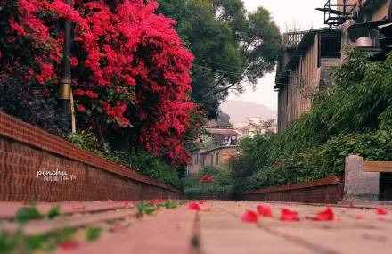 厦门旅游攻略自驾游最佳路线,厦门旅游十大必去景点景区攻略