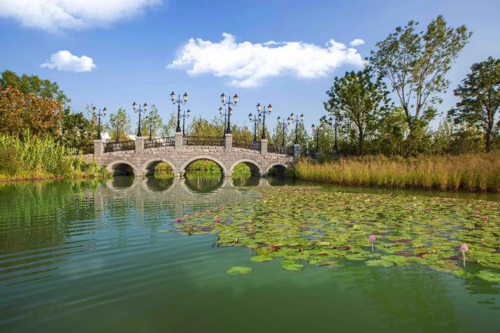 对标世界高端住区,对标一流水准打造世界一流企业