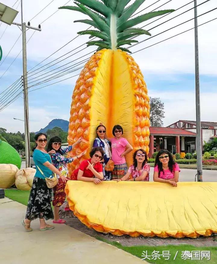 芭提雅东芭乐园和大象村的区别,芭提雅东芭乐园免费路线