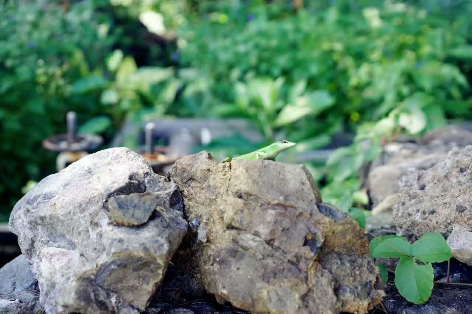 帕劳带小孩旅游攻略,帕劳带小朋友旅游攻略