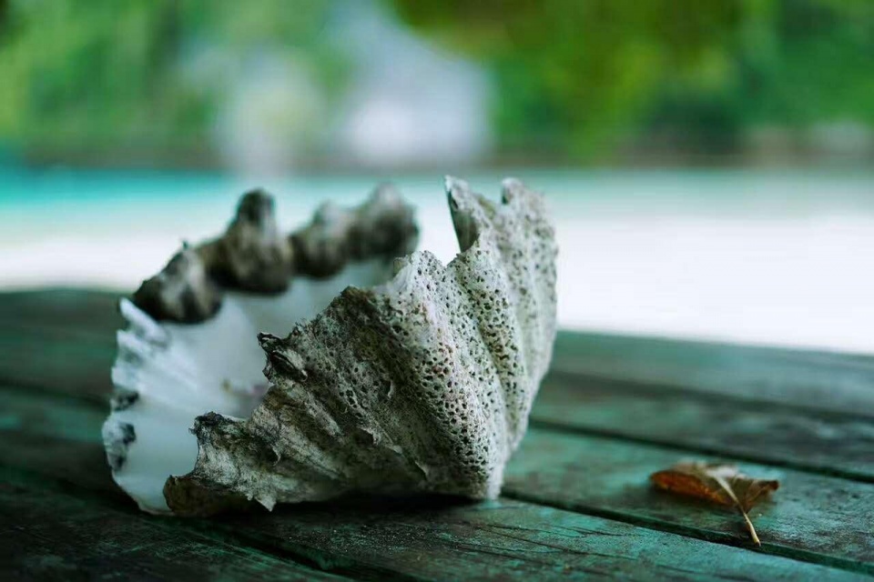 帕劳带小孩旅游攻略,帕劳带小朋友旅游攻略