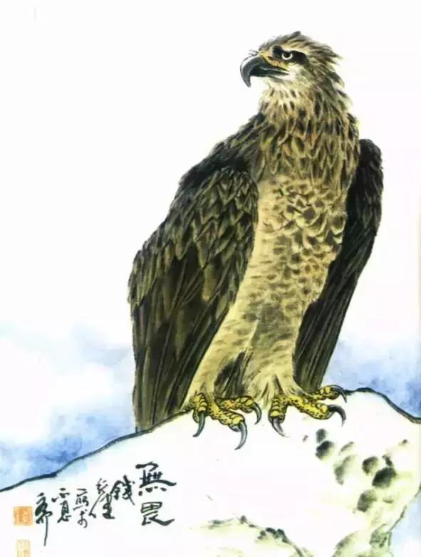 国画写实鹰怎么画,国画画鹰的技法