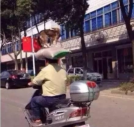 送给女朋友生日礼物女朋友的反应,女朋友生日礼物送什么她会喜欢