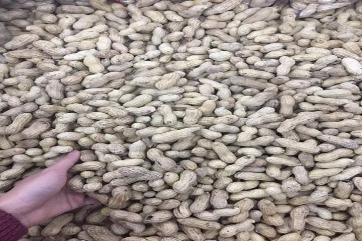 教你如何挑选“好坚果”，这样的坚果才是健康有益的