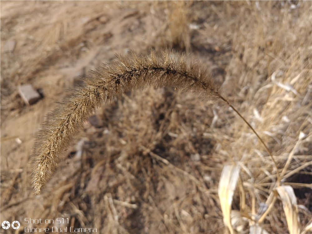 金立s11s手机全面屏,金立s11s深度体验