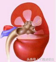 慢性肾小球肾炎治疗好转的表现,慢性肾炎3期积极治疗能活多久