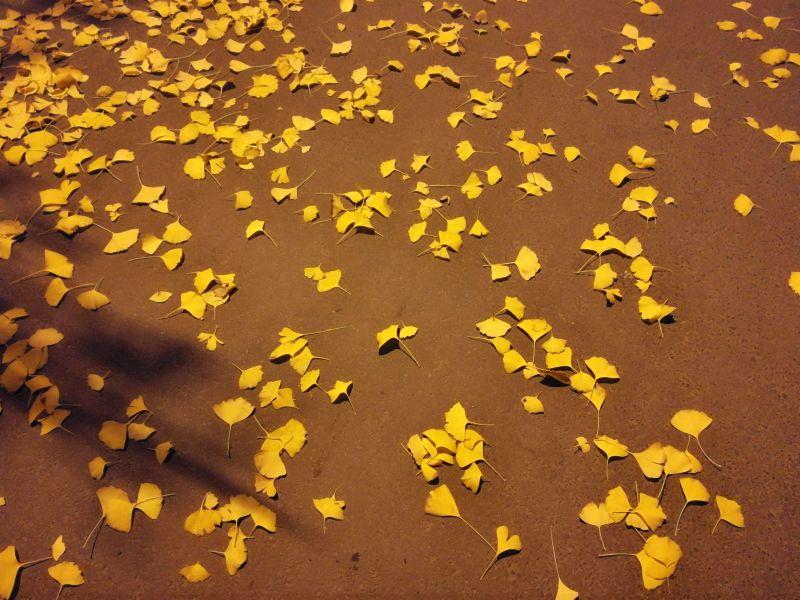 手拍世界投稿,手拍世界手机摄影平台