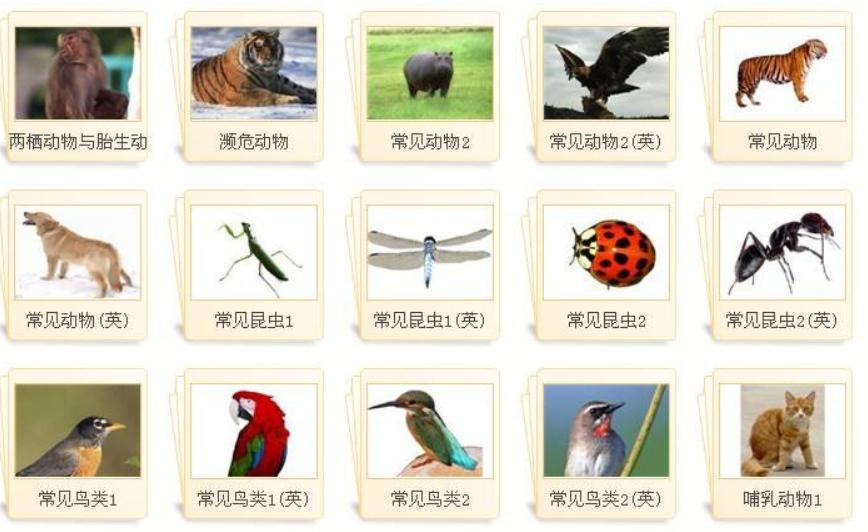 鍚冧粈涔堣嵂鐗╁珐鍥鸿蹇嗗姏,鎻愰珮鑻辫璁板繂鍔涘拰宸╁浐鍗曡瘝