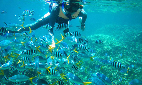 帕劳旅游攻略视频大全,帕劳旅游攻略必去的景点