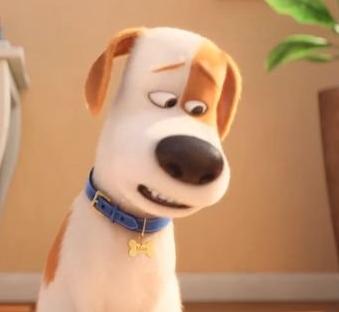 今年犯太岁的生肖要用什么去化解,2019犯太岁生肖名单及化解锦囊