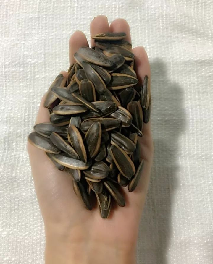 教你如何挑选“好坚果”，这样的坚果才是健康有益的