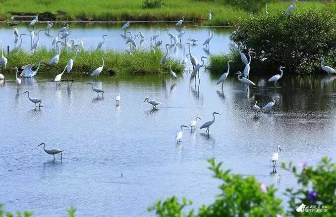 深圳龙岗周边游玩景点推荐,深圳及周边亲子游好去处
