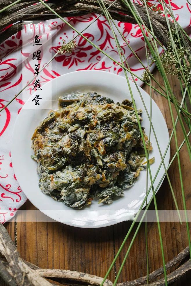 【健康课堂】—鱼腥草，清热消炎防辐射，提高免疫力，治疗宫颈炎