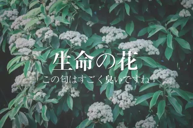 专业人士都看不懂一个段子,一些让人听不懂的专业