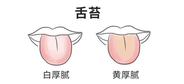 便秘为什么会导致口臭,便秘口臭的原因和治疗方法