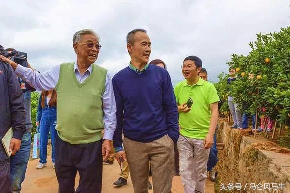 王石、冯仑组团拜访褚时健，为什么？