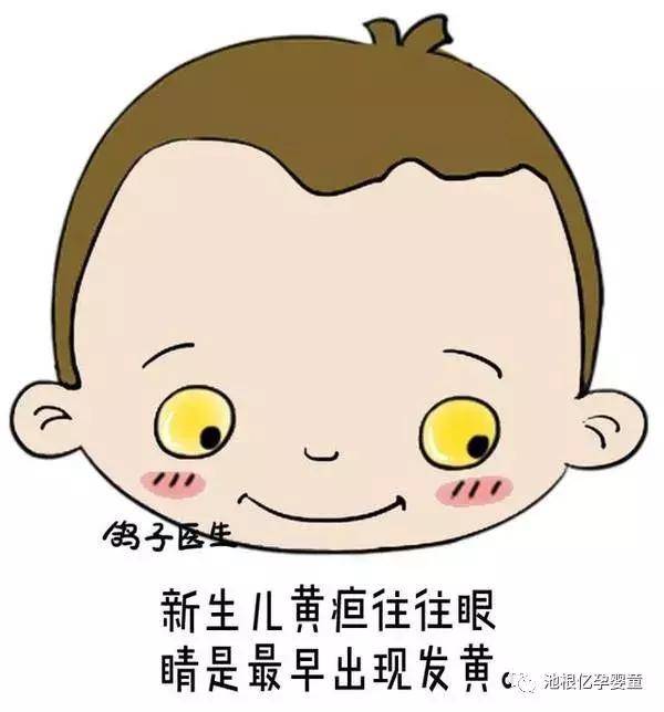 宝宝黄疸迟迟不退胆汁淤积需警惕,新生儿黄疸迟迟不退怎么办