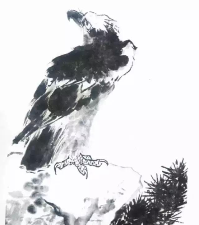 国画写实鹰怎么画,国画画鹰的技法