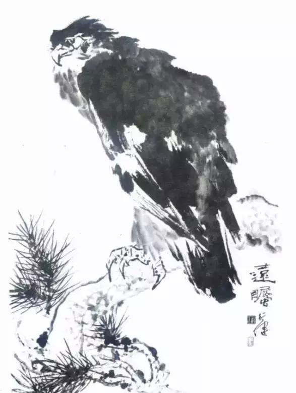 国画写实鹰怎么画,国画画鹰的技法