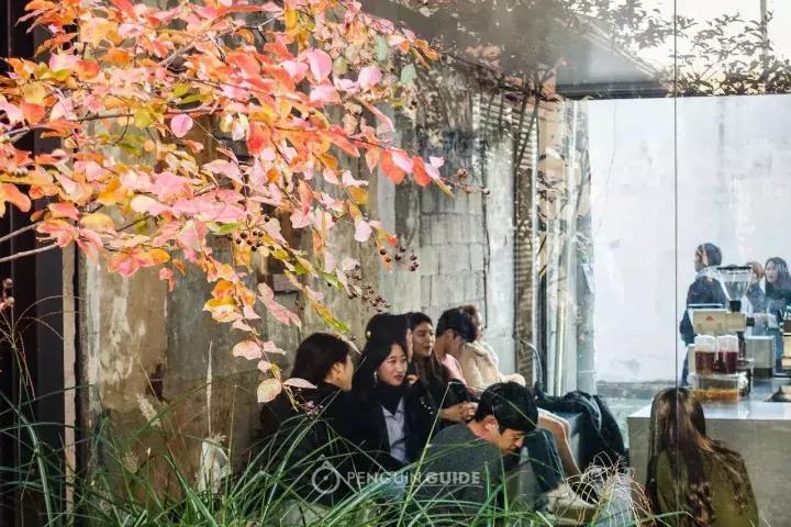 首尔顶级咖啡店,首尔哪个咖啡店好吃实惠