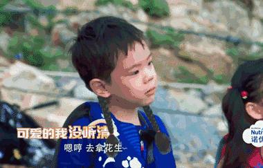 爸爸去哪儿5最后回忆,爸爸去哪儿5在哪里可以看