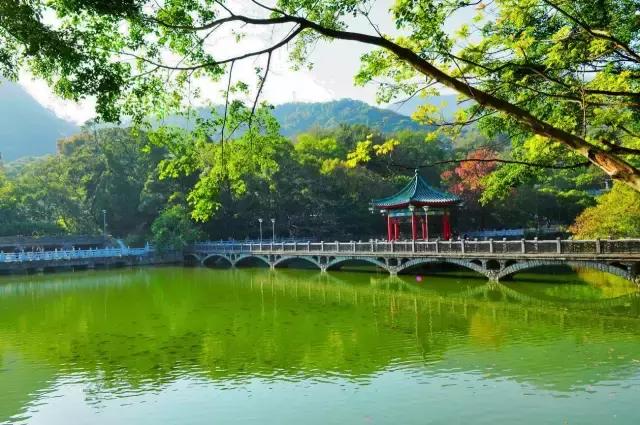 深圳龙岗周边游玩景点推荐,深圳及周边亲子游好去处