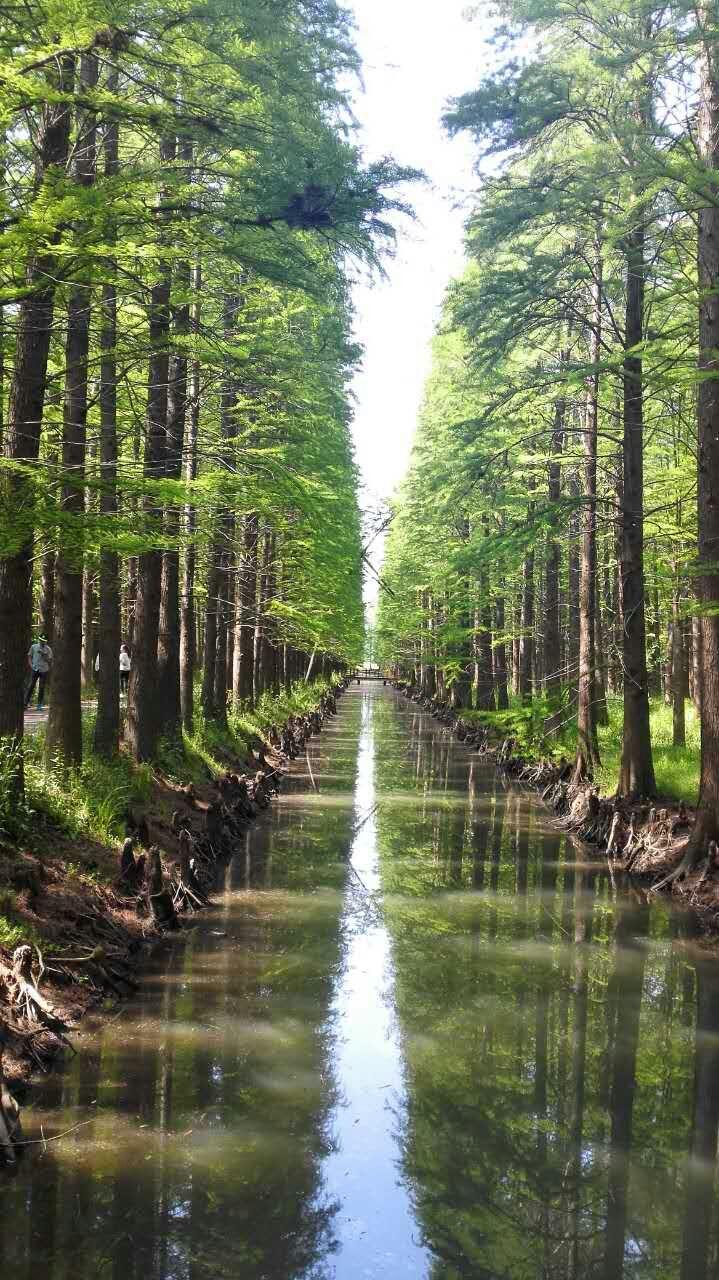 手拍世界投稿,手拍世界手机摄影平台