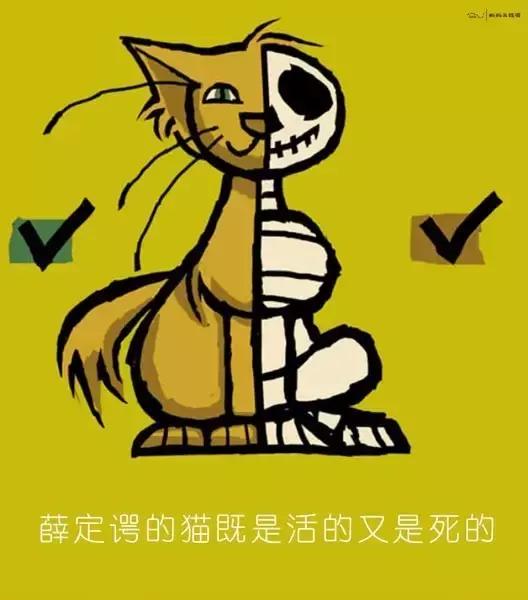 专业人士都看不懂一个段子,一些让人听不懂的专业