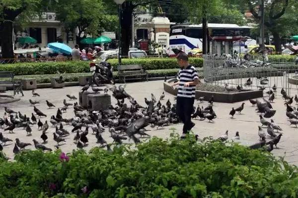 去泰国旅游被提醒,泰国旅游哪些坑要避开