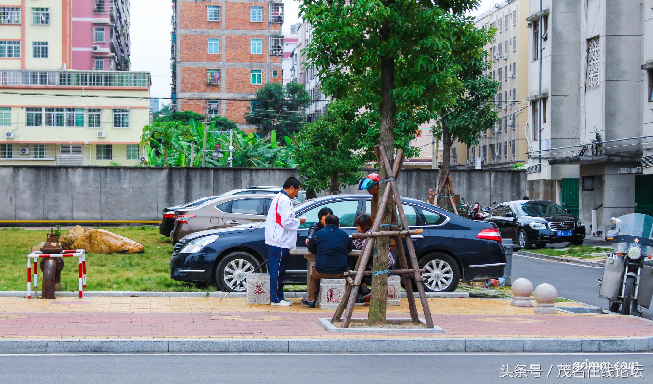 江东花园最好小区,发现我们身边的美