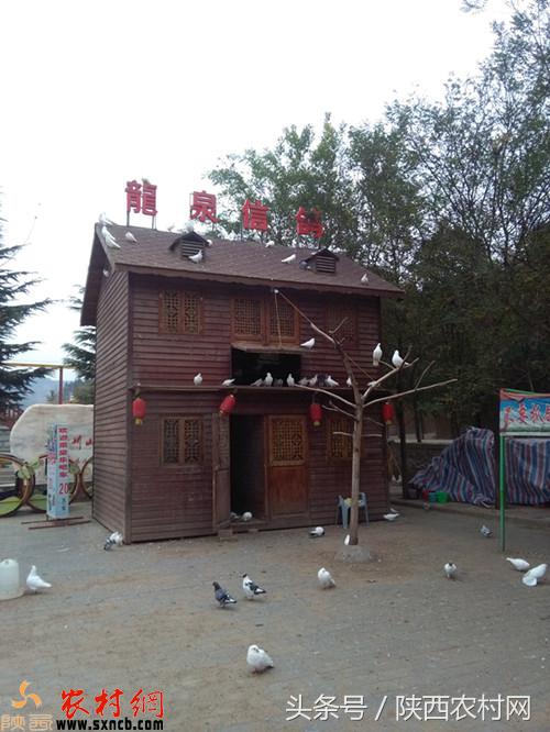 魏志孝幽默风趣,魏志孝旅游视频全集