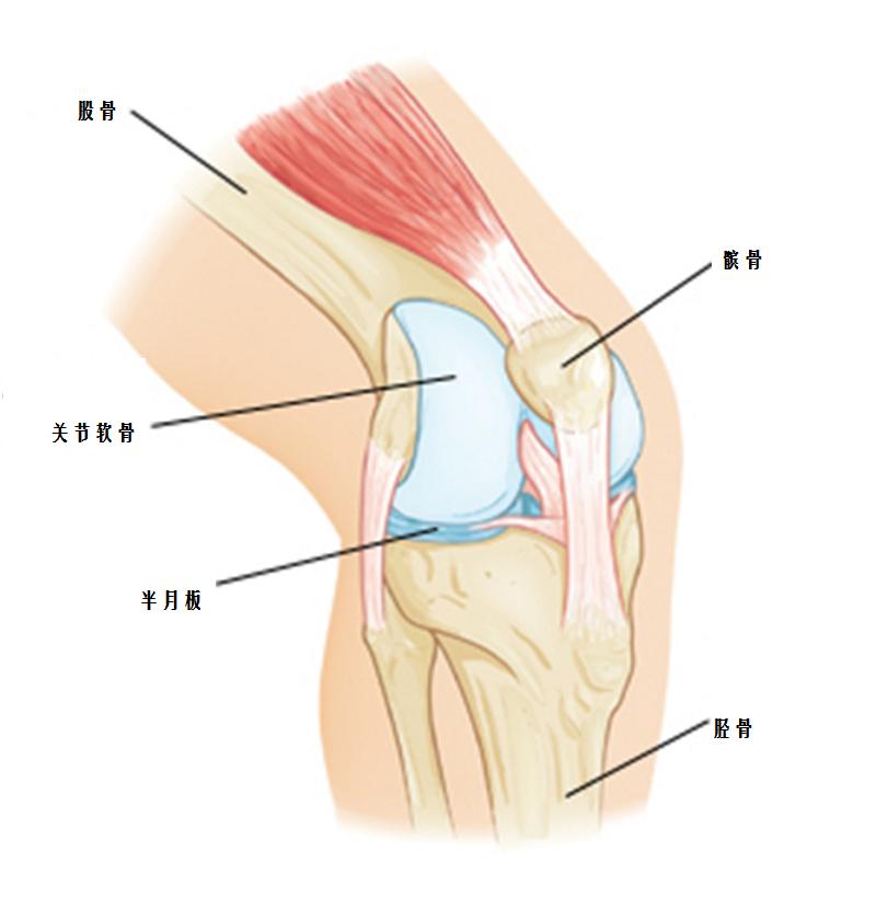 跑步能跑出伤病吗,跑步能跑好耳鸣吗