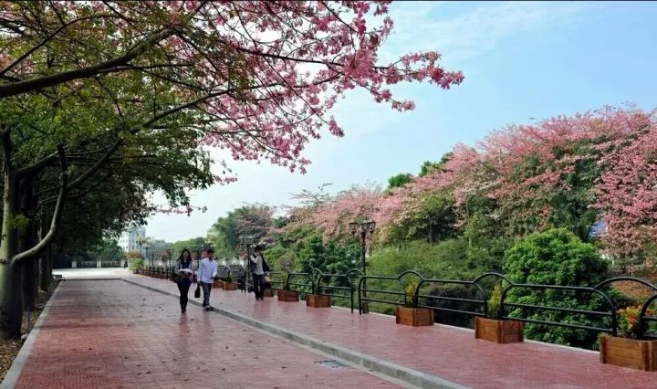 华软科技的趋势,华软科技有多厉害