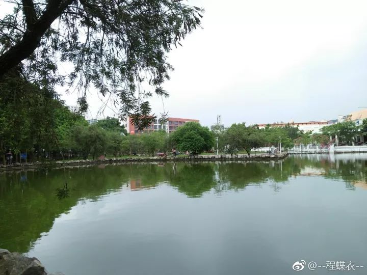 华软科技的趋势,华软科技有多厉害