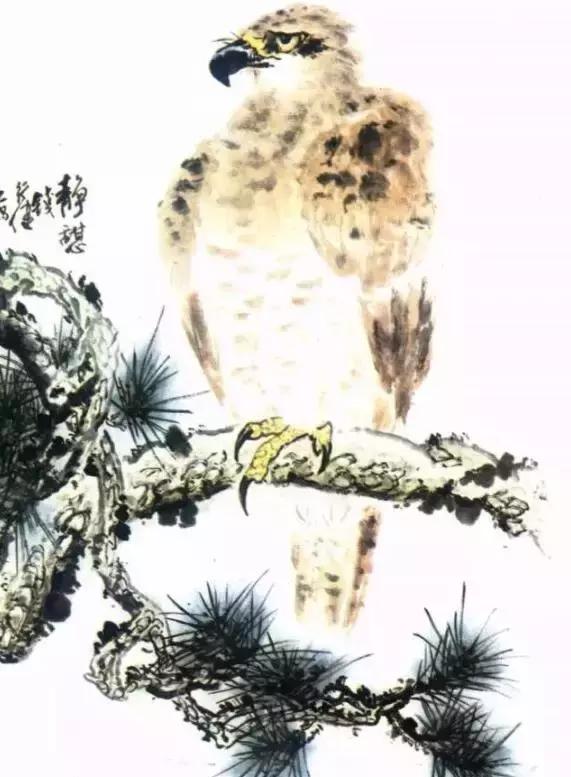 国画写实鹰怎么画,国画画鹰的技法