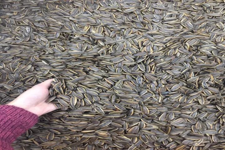 教你如何挑选“好坚果”，这样的坚果才是健康有益的